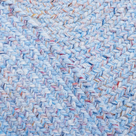 Safavieh Braided Brd804L Light Blue/Red Rug.