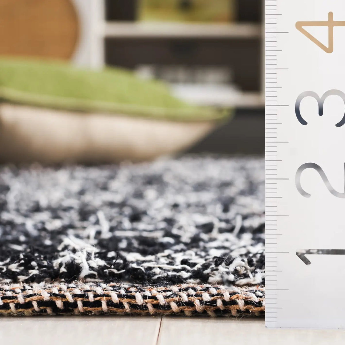 Safavieh Cape Cod 4'-0" x 6'-0" Rug in Ivory / Black