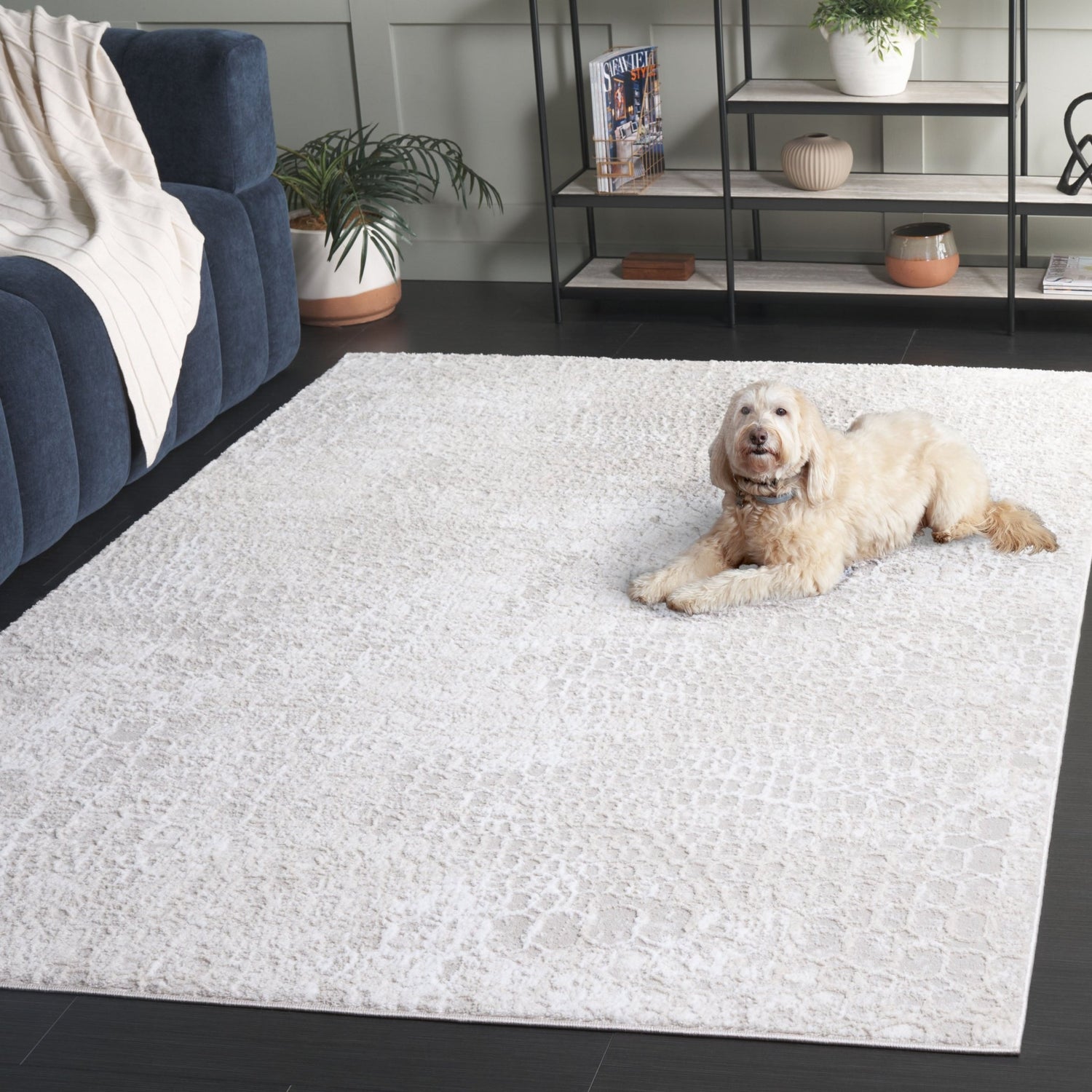 Safavieh Carter Crt200A Ivory/Taupe Rug - Safavieh - crt200a - 4