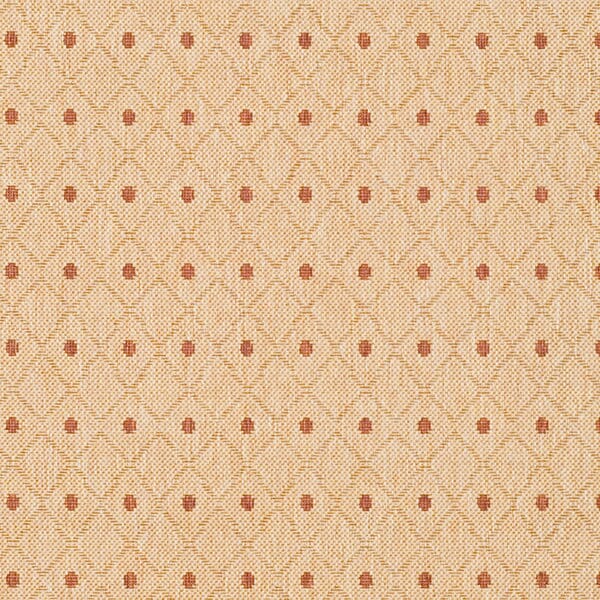 Safavieh Courtyard cy5148j Ivory / Rust Rugs - Safavieh - cy5148j - 3