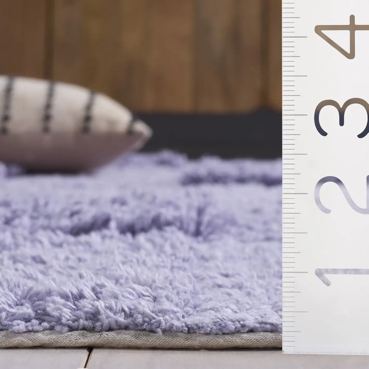 Safavieh Easy Care 4'-0" x 6'-0" Rug in Lilac