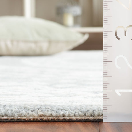Safavieh Ebony Ebn306F Ivory/Grey Rug - Safavieh - ebn306f - 6r