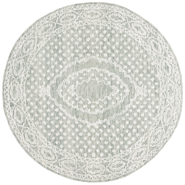 Safavieh Ebony Ebn306F Ivory/Grey Rug - Safavieh - ebn306f - 6r
