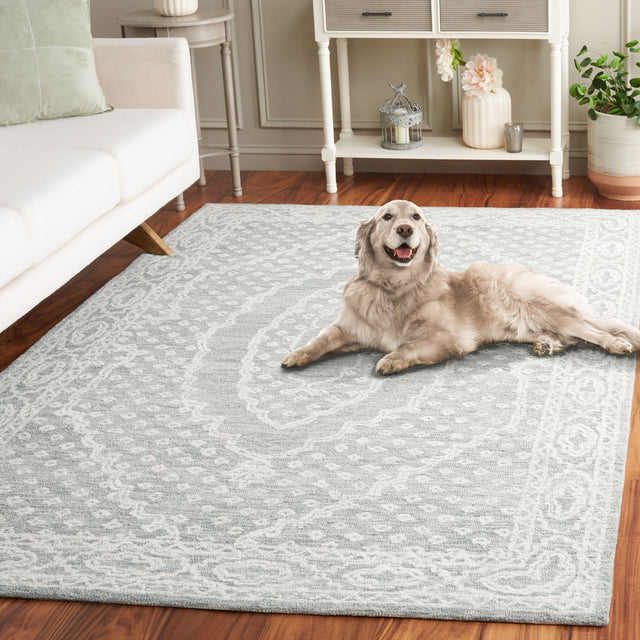 Safavieh Ebony Ebn306F Ivory/Grey Rug - Safavieh - ebn306f - 6r