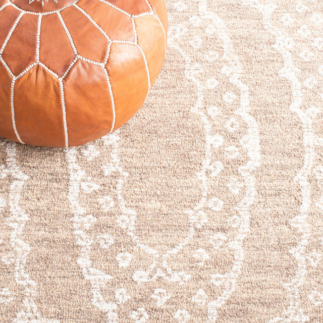 Safavieh Ebony Ebn306T Ivory/Brown Rug - Safavieh - ebn306t - 6r
