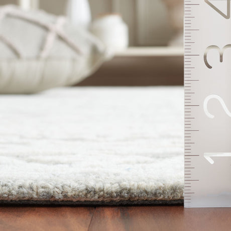 Safavieh Ebony Ebn311F Ivory/Grey Rug - Safavieh - ebn311f - 29
