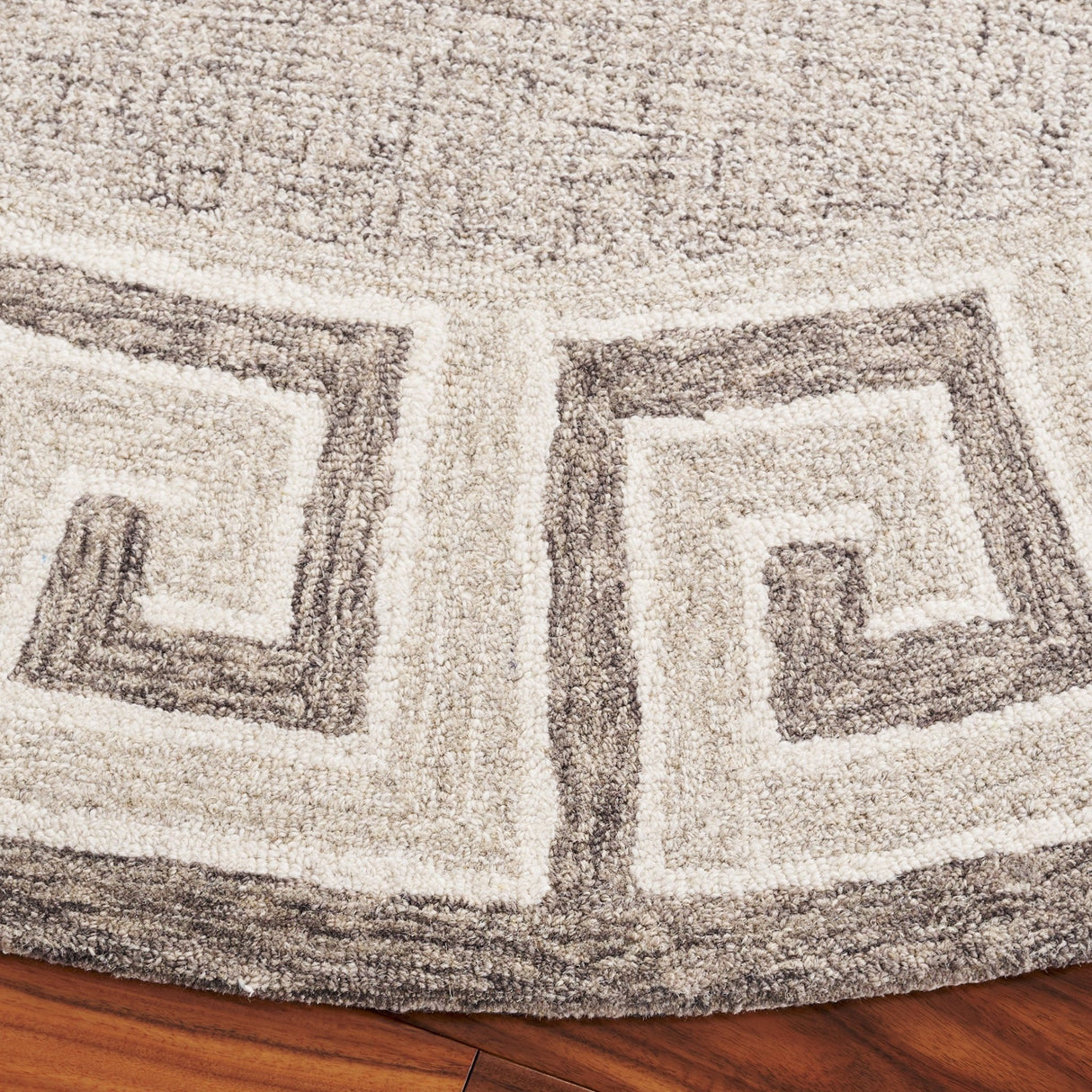 Safavieh Ebony Ebn354G Dark Grey/Ivory Rug - Safavieh - ebn354g - 6r