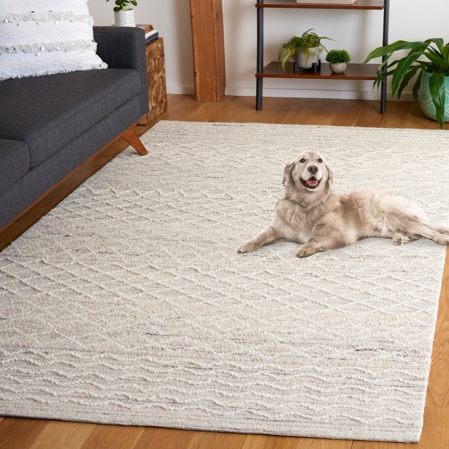 Safavieh Ebony Ebn356F Light Grey/Ivory Rug - Safavieh - ebn356f - 6r