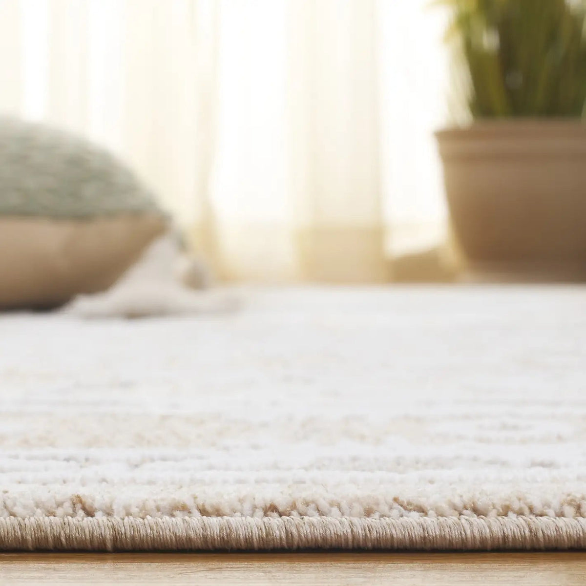 Safavieh Finley 4'-0" x 6'-0" Rug in Beige / Ivory
