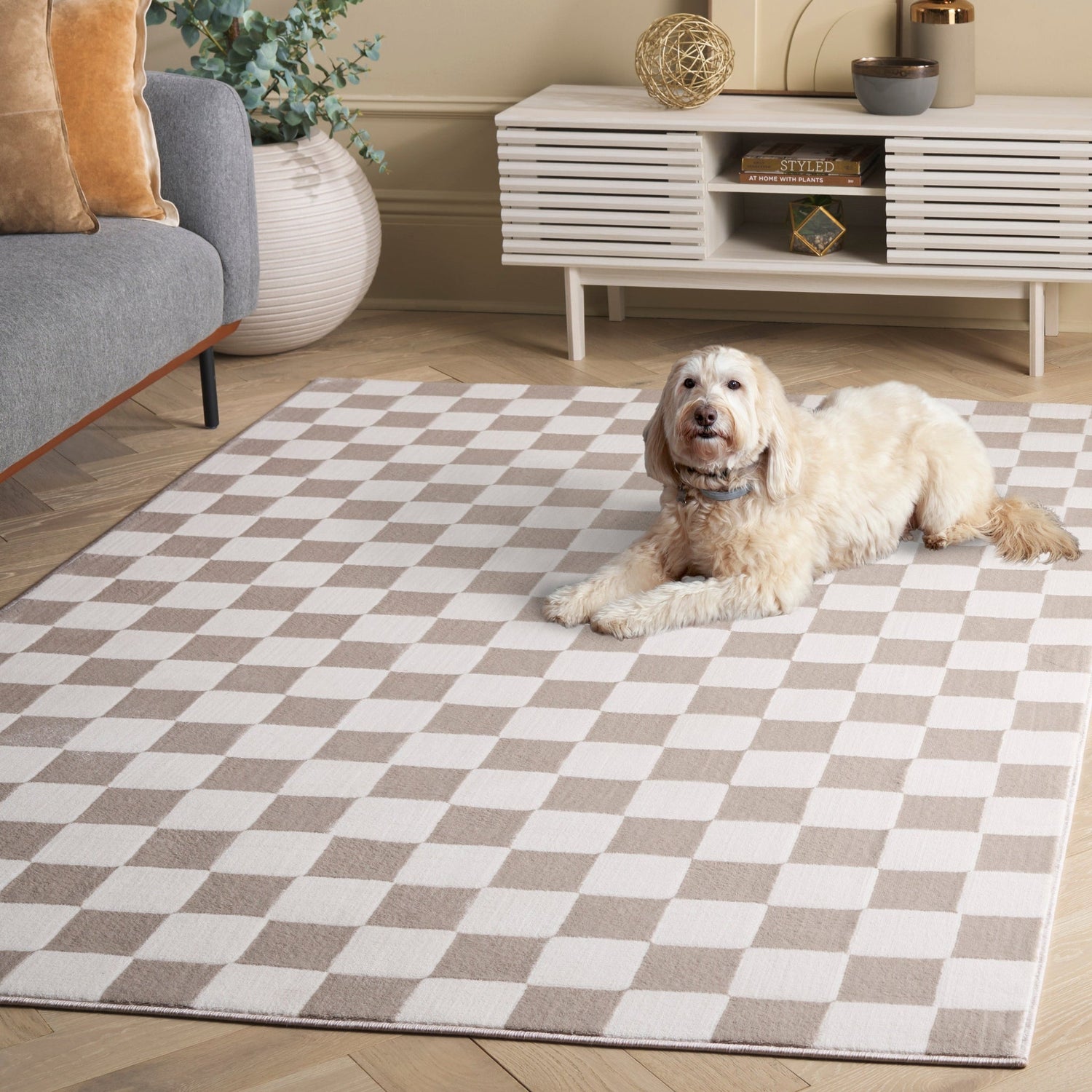 Safavieh Groove Grv122A Ivory/Beige Rug - Safavieh - grv122a - 28