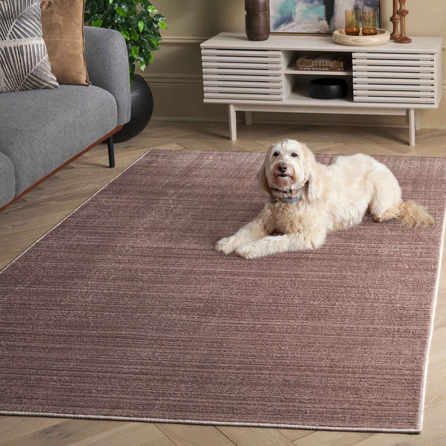 Safavieh Harmony Hmy800C Light Brown Rug - Safavieh - hmy800c - 28