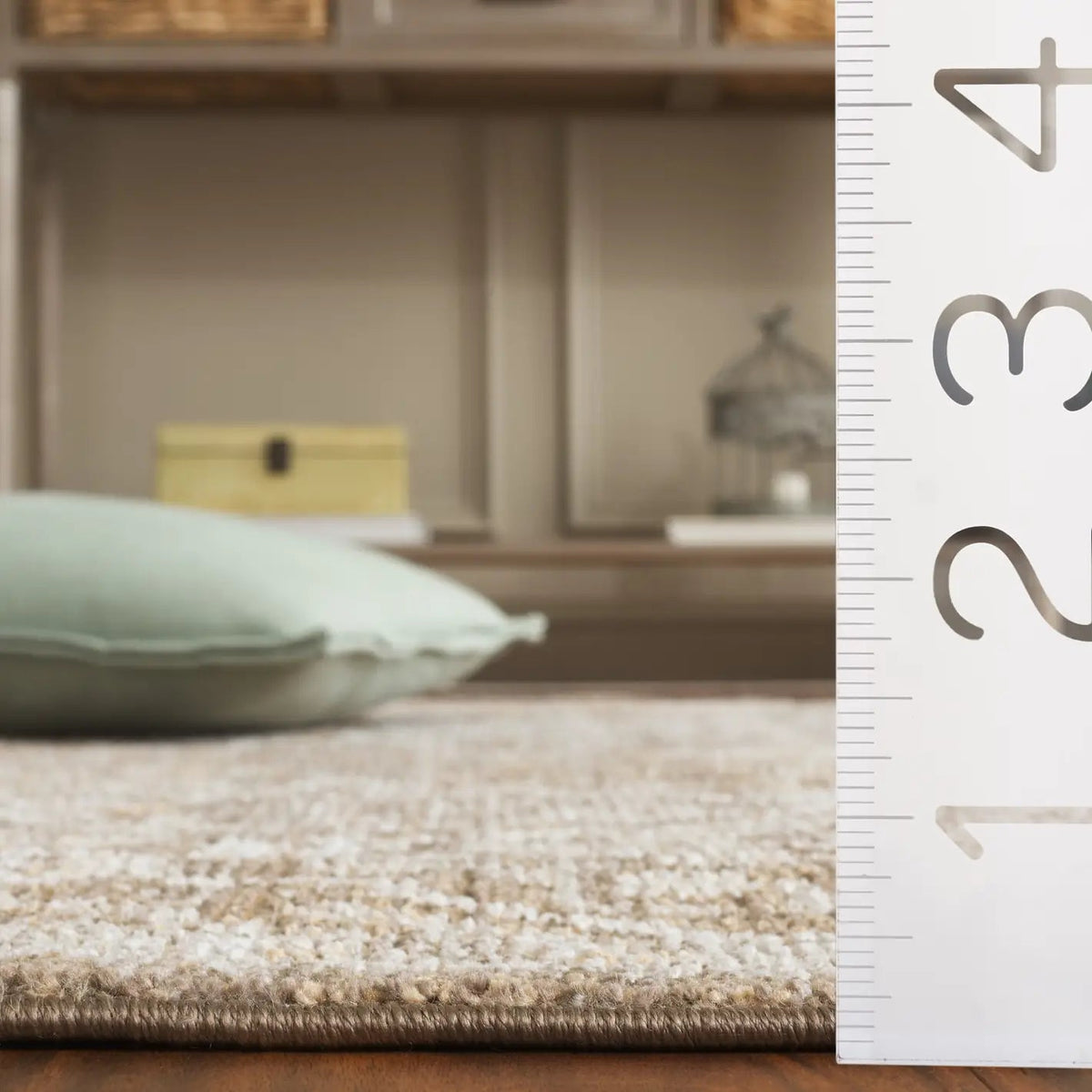 Safavieh Hazel 500 4'-0" x 6'-0" Rug in Brown / Ivory