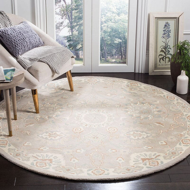 Safavieh Heritage Hg824B Silver / Ivory Rugs - Safavieh - hg824b - 6sq
