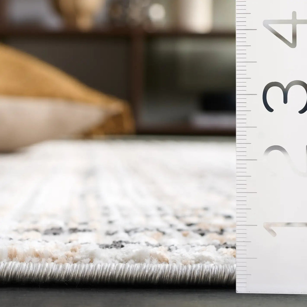 Safavieh Mila 4'-0" x 6'-0" Rug in Beige / Ivory Black