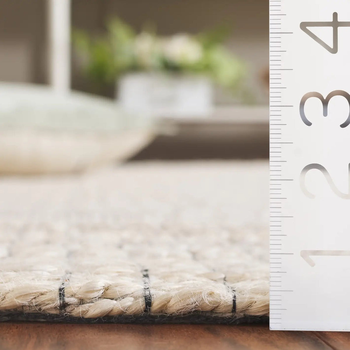 Safavieh Natural Fiber 4'-0" x 6'-0" Rug in Ivory
