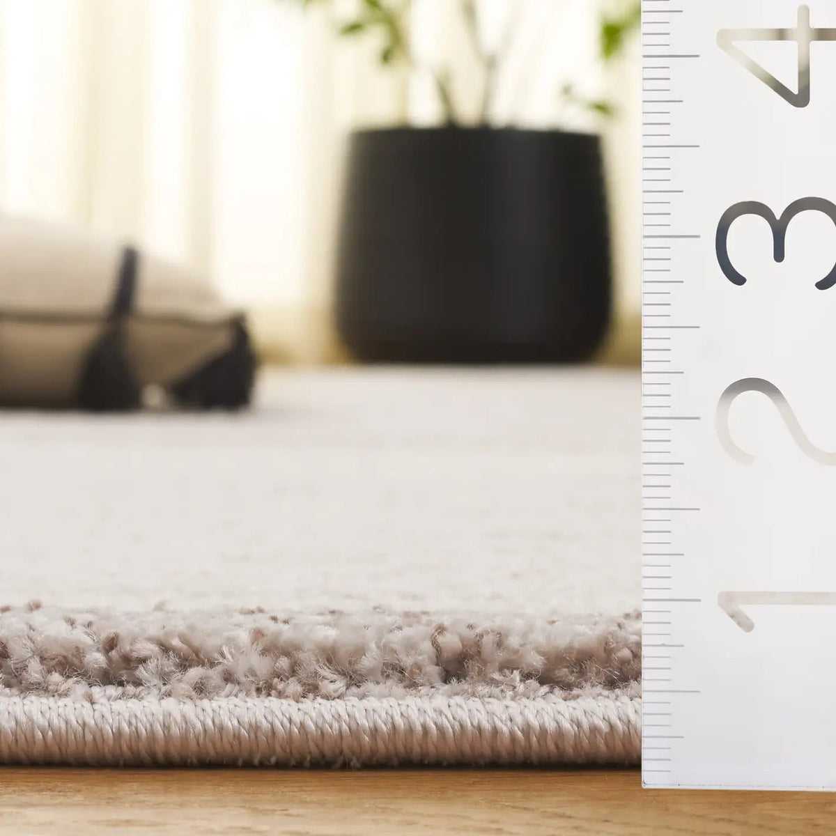 Safavieh Northport 4'-0" x 6'-0" Rug in Ivory / Beige