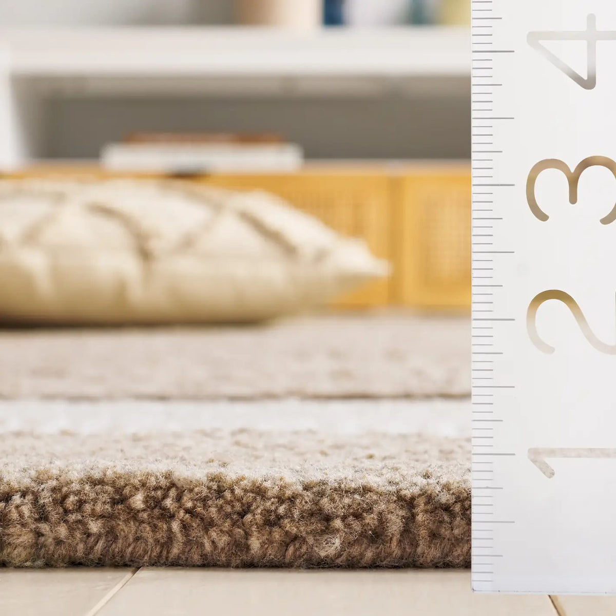 Safavieh Renewal 4'-0" x 6'-0" Rug in Brown / Ivory
