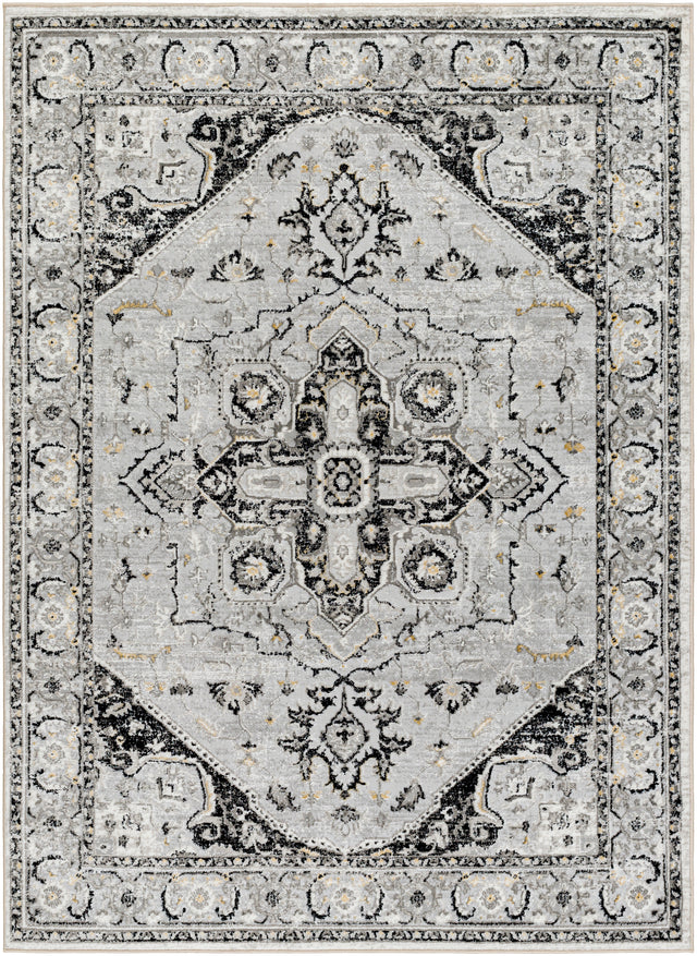 Surya San Francisco Sfo-2328 Light Gray, Charcoal, Ivory, Black, Tan, Slate Rug.