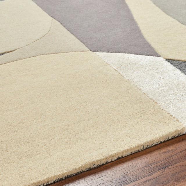Surya Tallinn Tnl-2308 Cream, Medium Gray, Charcoal, Taupe, Light Beige Rug.