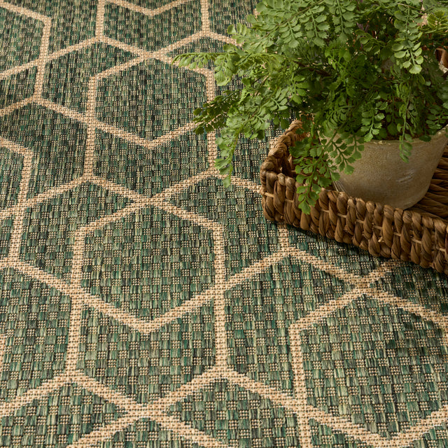 Nourison Horizon Indoor/Outdoor HOZ01 Green Contemporary Area Rugs