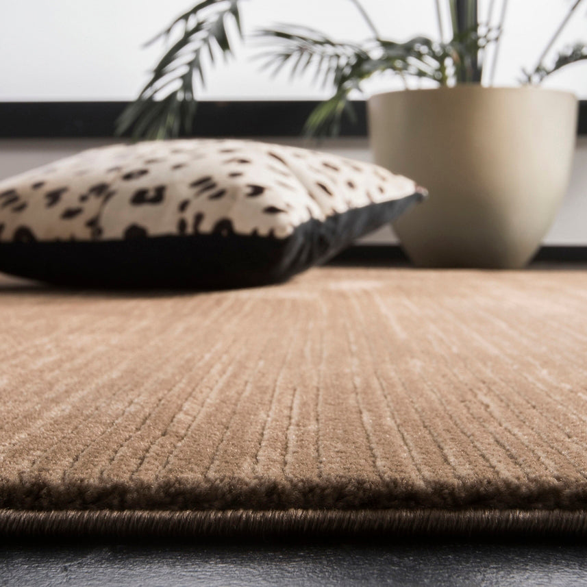 Safavieh Vision Vsn606C Light Brown Rug