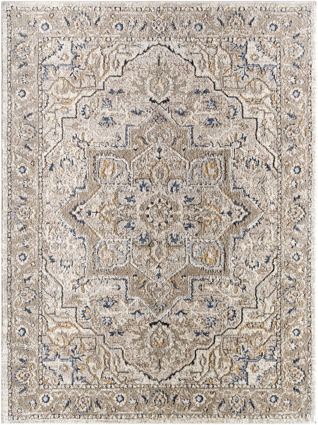 Surya Zidane Zdn-2301 Gray, White, Dark Brown, Black, Medium Brown, Light Beige Rug.