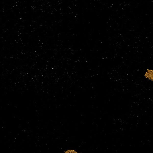 United Weavers Affinity Fdl Black (750-00570) Rugs.