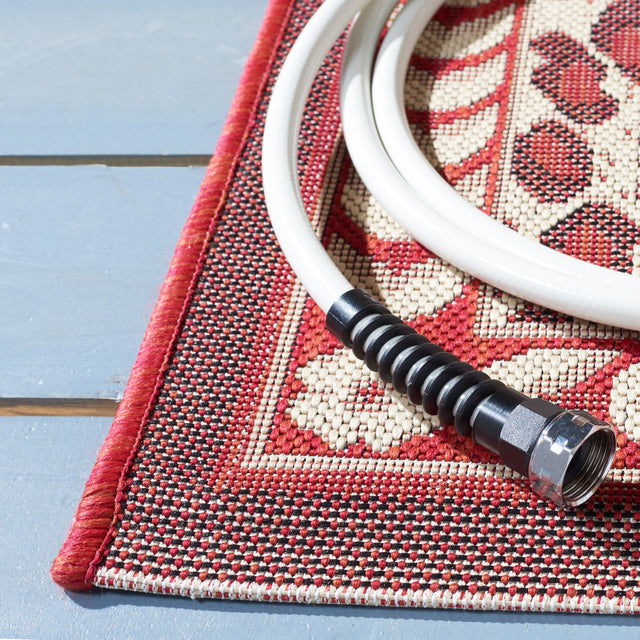 Safavieh Courtyard Cy6100-23812 Red/Beige Rugs.