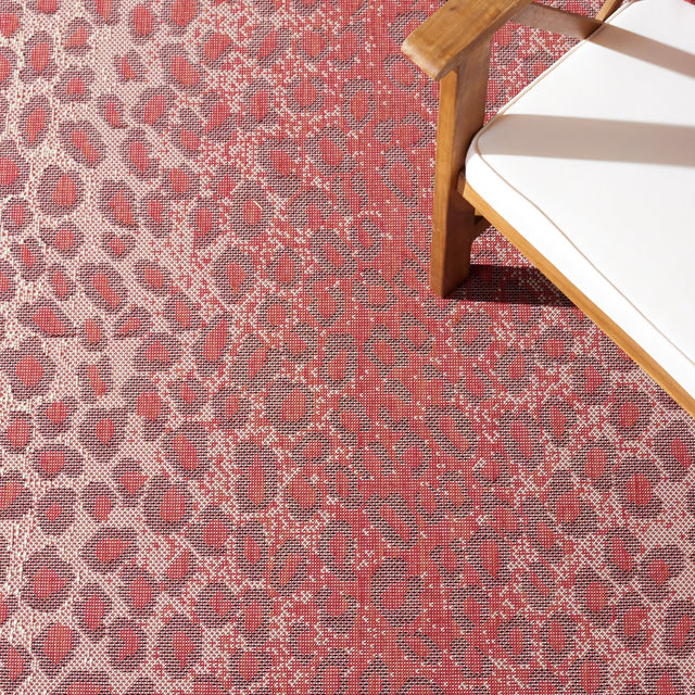 Safavieh Courtyard Cy6100-23812 Red/Beige Rugs.
