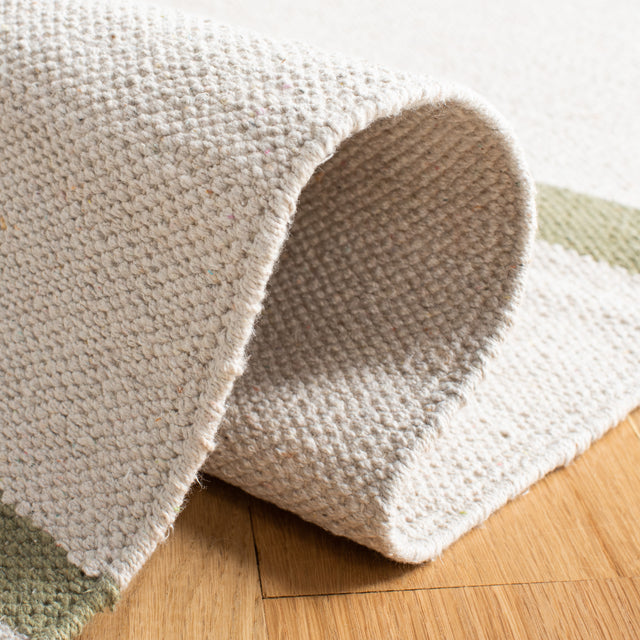 Safavieh Montauk Mtk311J Ivory/Light Green Rugs.
