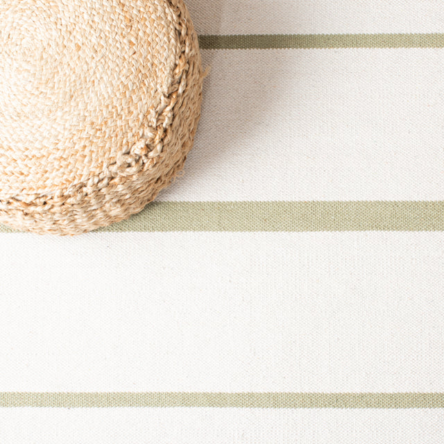 Safavieh Montauk Mtk311J Ivory/Light Green Rugs.