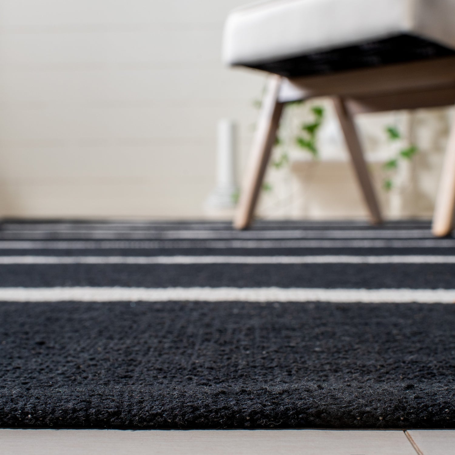 Safavieh Montauk Mtk311Z Black/Ivory Rugs.