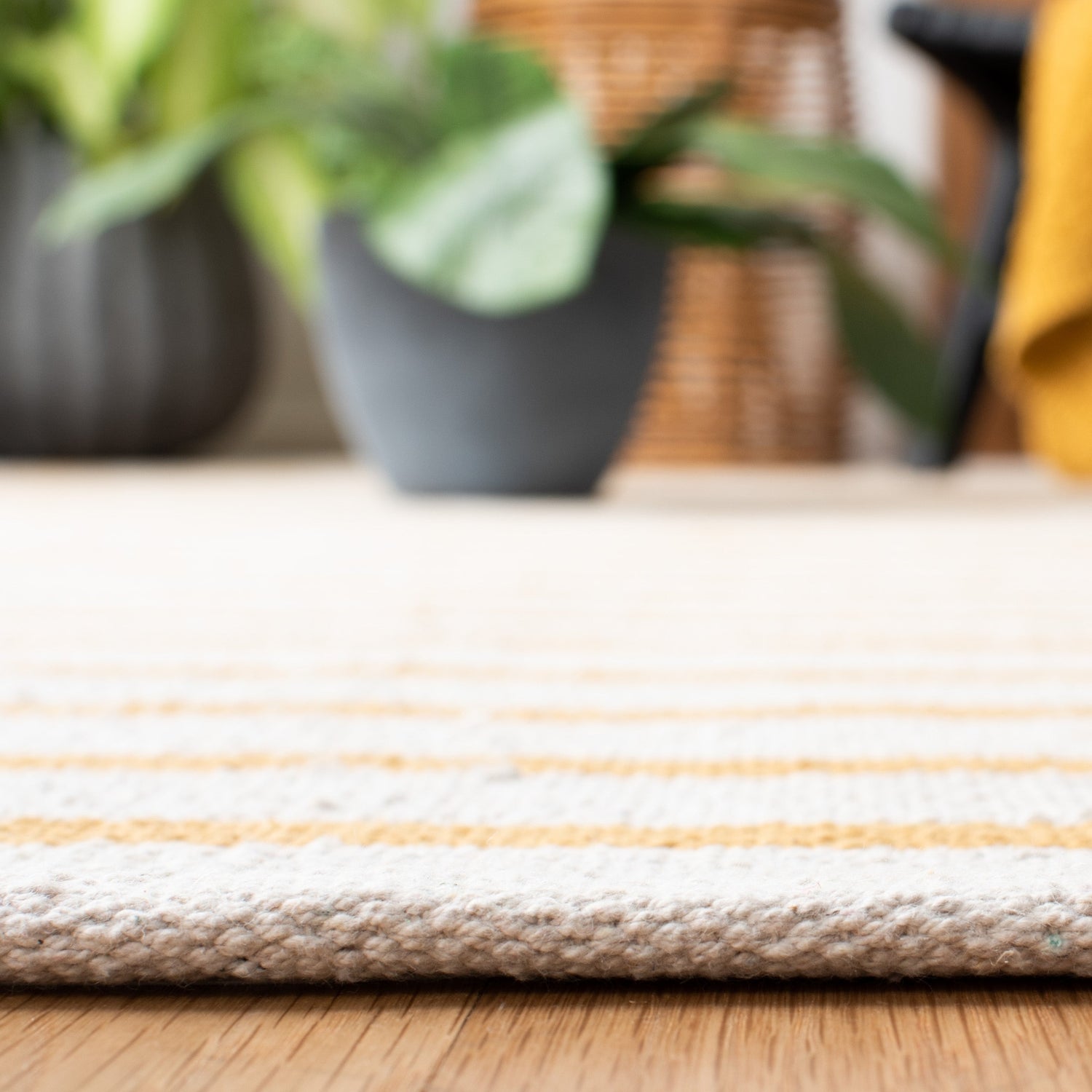 Safavieh Montauk Mtk313C Ivory/Gold Rugs.