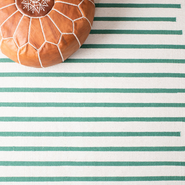 Safavieh Montauk Mtk313X Ivory/Dark Green Rugs.