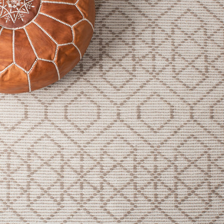 Safavieh Montauk Mtk652T Brown/Beige Rugs.