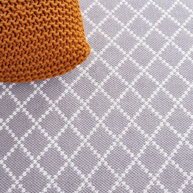 Safavieh Montauk Mtk706G Light Grey/Ivory Rug.