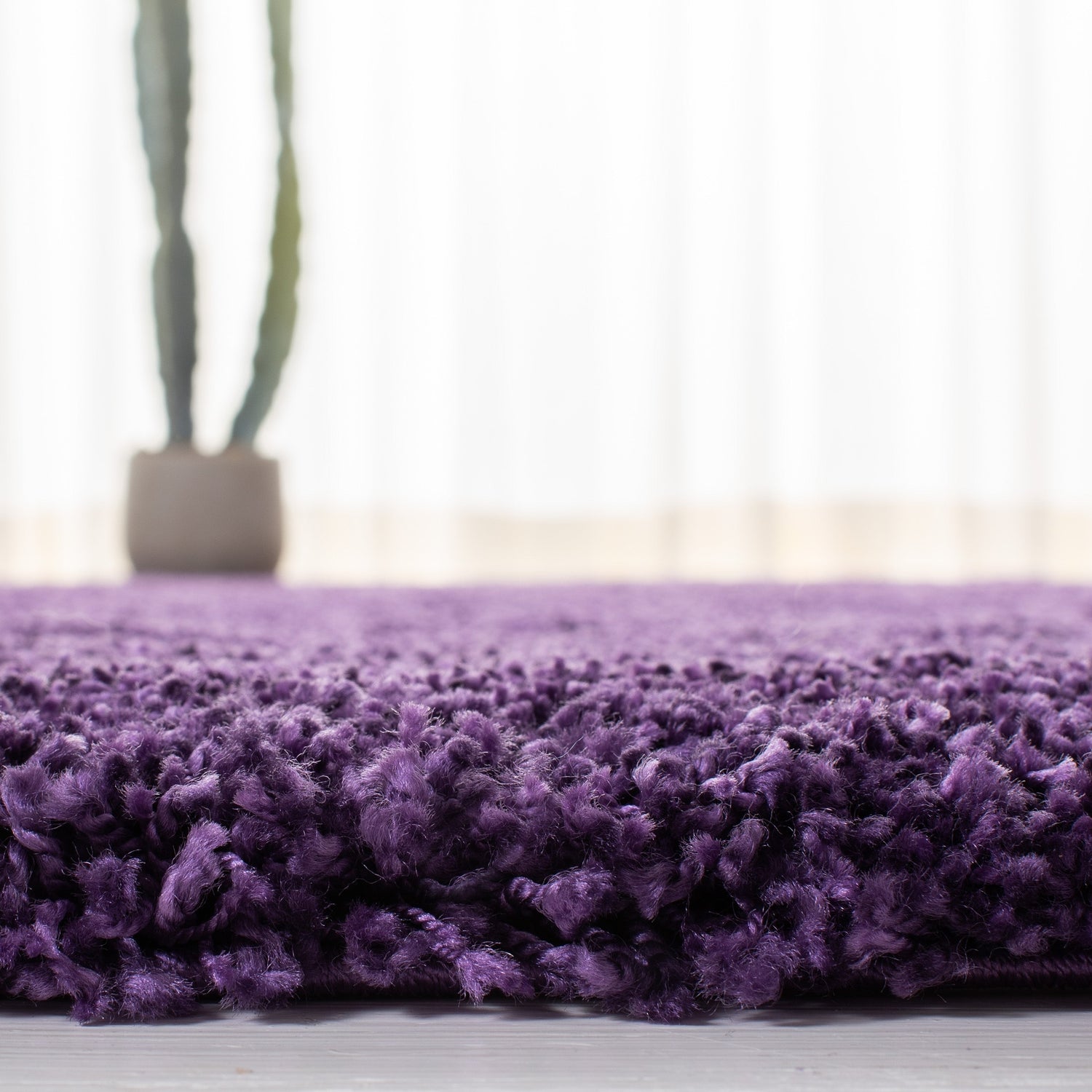 Safavieh Shag Sg180 Purple Rugs.