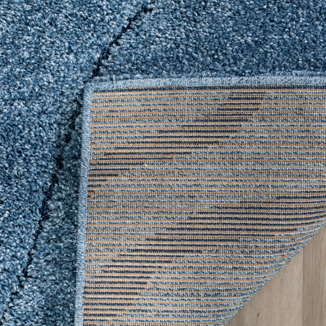 Safavieh Shag Sg472 Light Blue/Blue Rug.