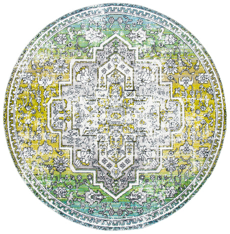 Safavieh Skyler Sky101Y Green/Ivory Rugs.