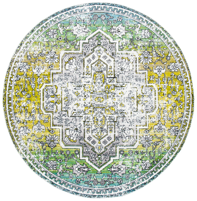 Safavieh Skyler Sky101Y Green/Ivory Rugs.