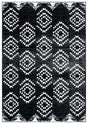 Safavieh Skyler Sky179Z Black/Ivory Rugs.