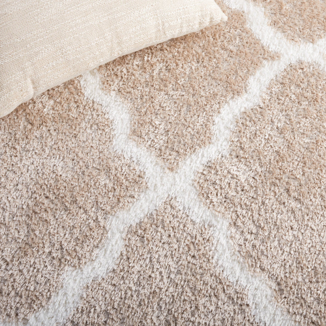 Safavieh Tahoe Shag Tho675B Beige/White Rug.