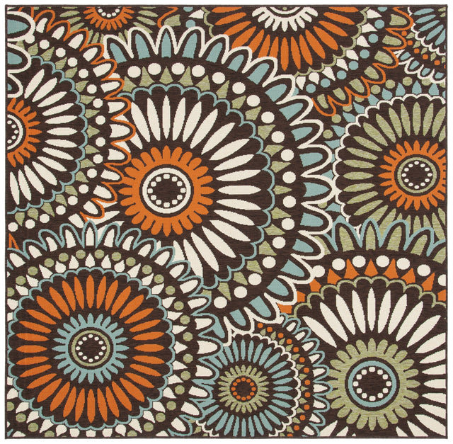 Safavieh Veranda Ver091 Chocolate/Terracotta Rug.