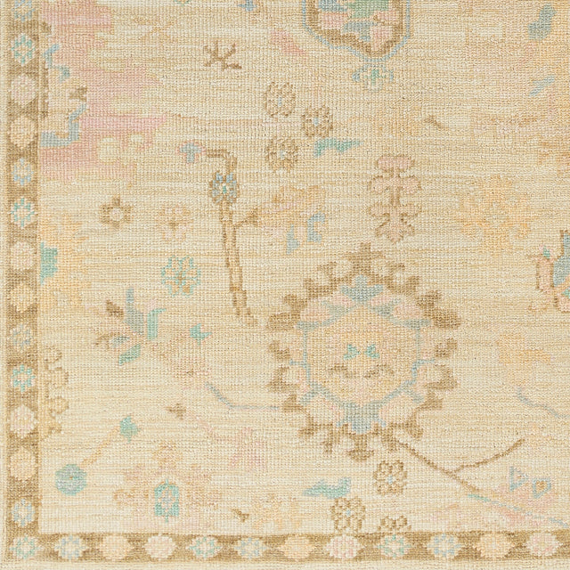 Surya Antalya Aat-2307 Brown Rug.