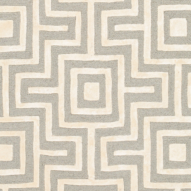 Surya Addison Add-2301 Grey Rug.