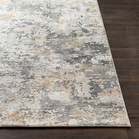 Surya Aisha Ais-2303 Charcoal, Medium Gray, Light Gray Rugs.