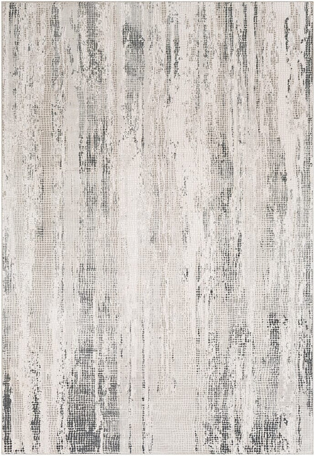 Surya Aisha Ais-2304 Medium Gray, Charcoal, Light Gray Rugs.
