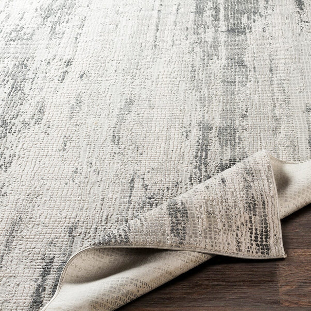 Surya Aisha Ais-2304 Medium Gray, Charcoal, Light Gray Rugs.