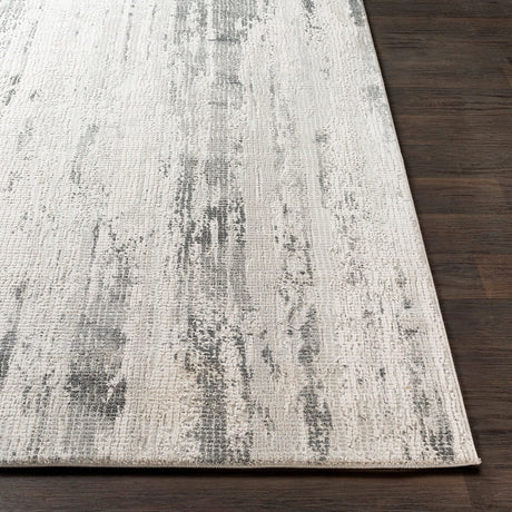 Surya Aisha Ais-2304 Medium Gray, Charcoal, Light Gray Rugs.