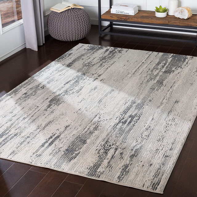 Surya Aisha Ais-2304 Medium Gray, Charcoal, Light Gray Rugs.